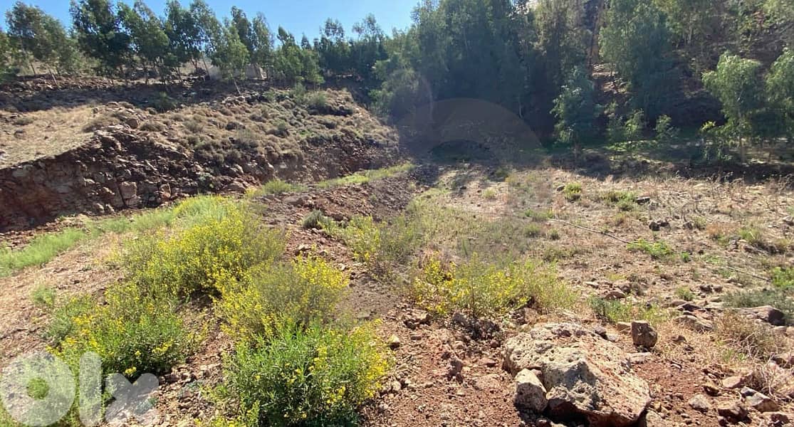 {للبيع أرض في حلبا, أرض مميزة في نبع الغزيلة {كويخات REF#SM128047 1