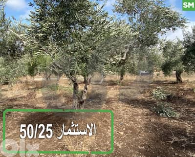 للبيع: أرض مميزة في خريبة الجندي REF#SM128048