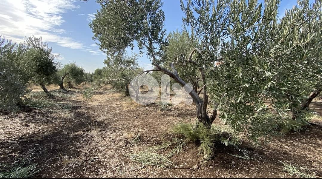 للبيع: أرض مميزة في خريبة الجندي REF#SM128048 1