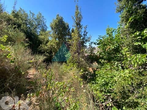 A 2000m2 Land+mountain view 4 Sale in Mayrouba - أرض للبيع في ميروبا 1