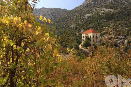 10250m2 Land+Sea View 4sale in KfarAbida/Batroun أرض للبيع في كفرعبيدا