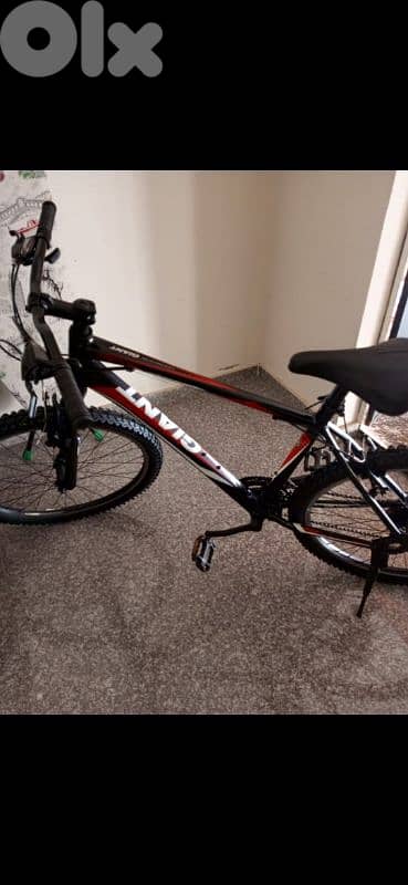 بسكليت Giant usa