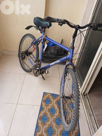 بيروت عائشة بكار