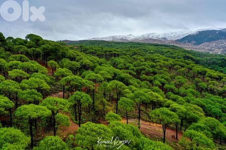 بمهريه عاليه - Bmahray- Aley