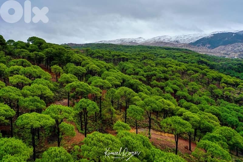 بمهريه عاليه - Bmahray- Aley 0