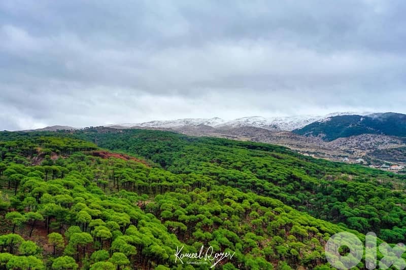 بمهريه عاليه - Bmahray- Aley 1