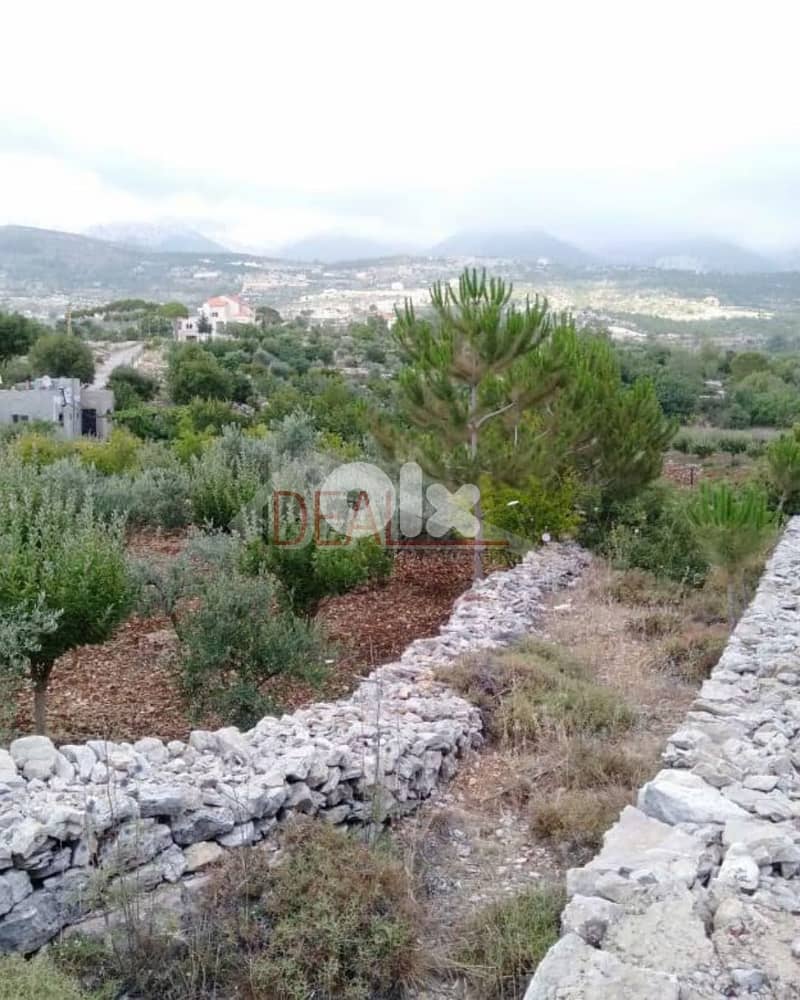 Land for sale in Baadaran Chouf عقار للبيع في بعذران الشوف 2