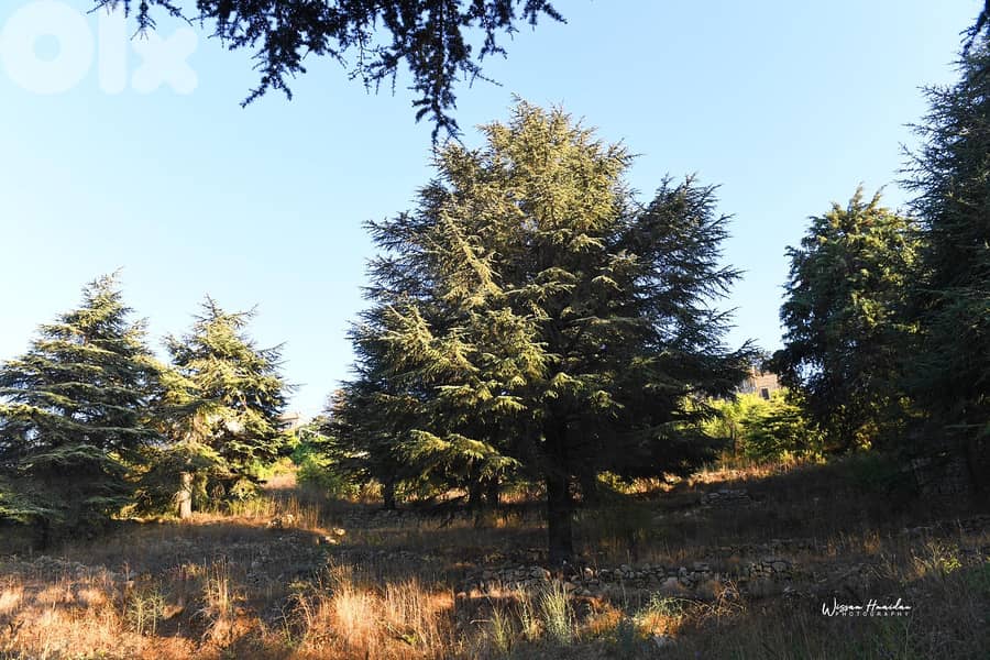 Premium Land for sale in Cornishe Sawfar, Aley ارض مميزة للبيع في صوفر 7