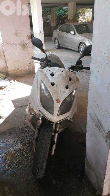 موتسيك تايواني 1