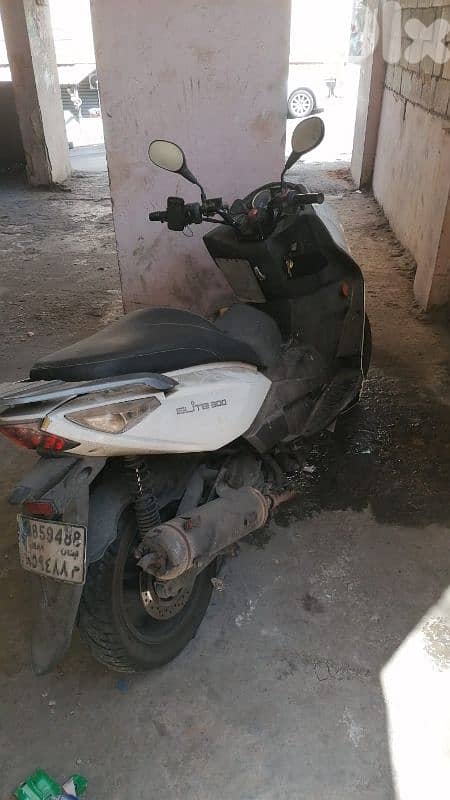 موتسيك تايواني 2