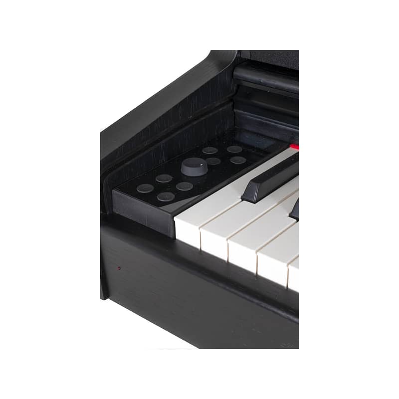 Gewa DP-345, Black 2