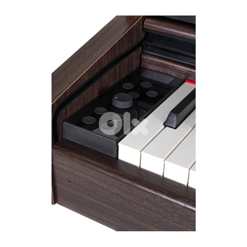 Gewa DP-345, Rosewood 1