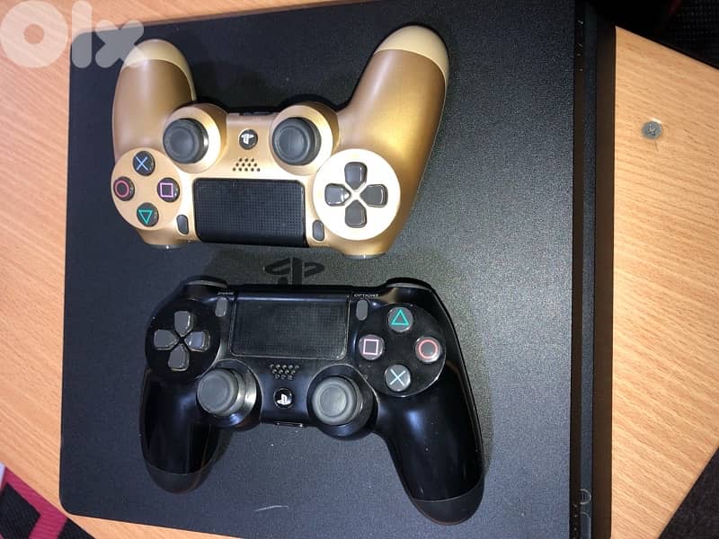 جدرا الشوف 0