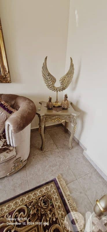 صالون للبيع يداعي السفر 18