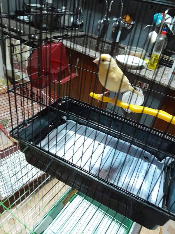 دكرين و انتايتين كنار مخاليف للبيع شغل بيت شغل كتير نضيف مش تجاري 16