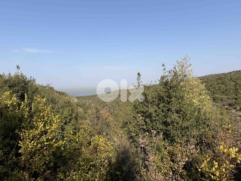 Land | Chikhane | Mountain & Sea view | ارض للبيع | PLS 25338 1