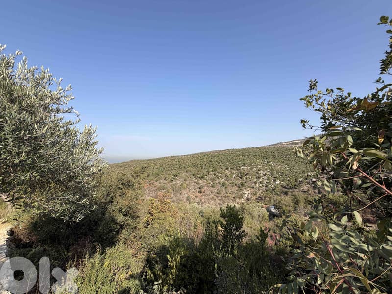 Land | Chikhane | Mountain & Sea view | ارض للبيع | PLS 25338 2
