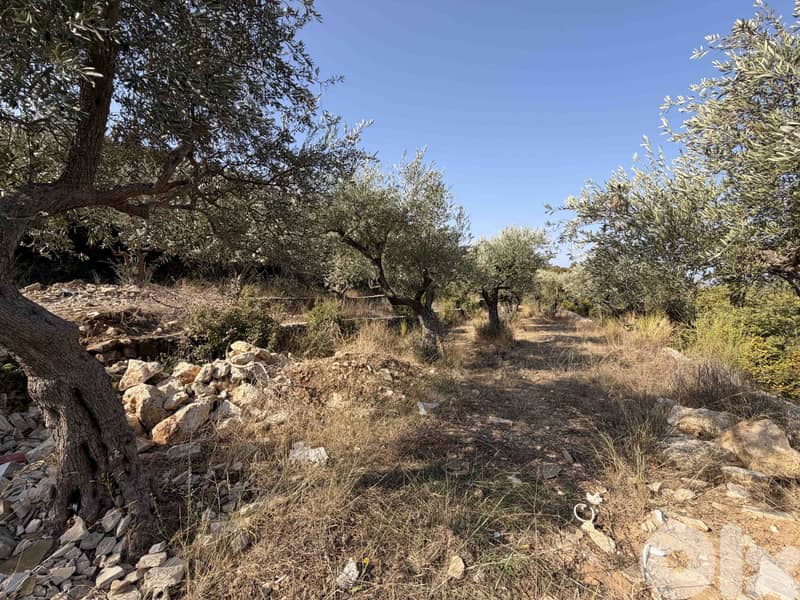 Land | Chikhane | Mountain & Sea view | ارض للبيع | PLS 25338 4