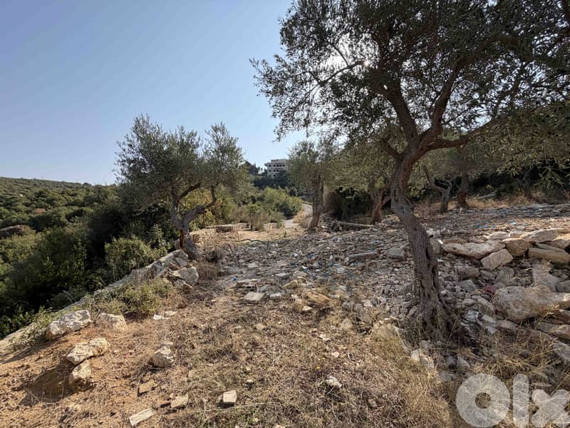 Land | Chikhane | Mountain & Sea view | ارض للبيع | PLS 25338 5