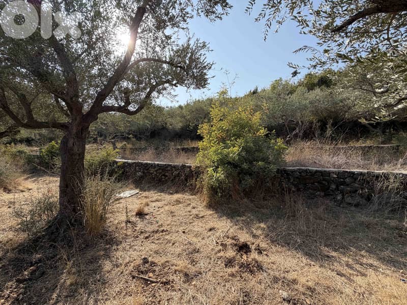 Land | Chikhane | Mountain & Sea view | ارض للبيع | PLS 25338 6