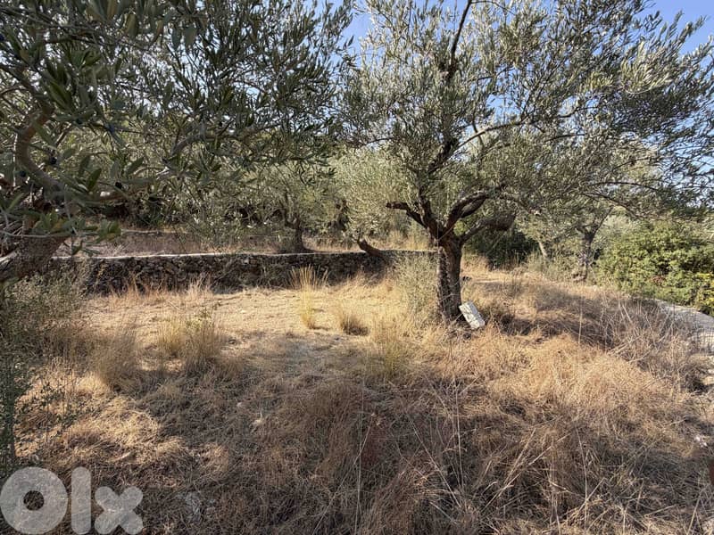 Land | Chikhane | Mountain & Sea view | ارض للبيع | PLS 25338 7