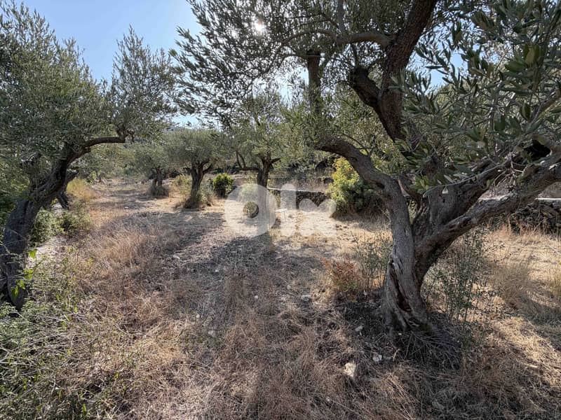 Land | Chikhane | Mountain & Sea view | ارض للبيع | PLS 25338 8