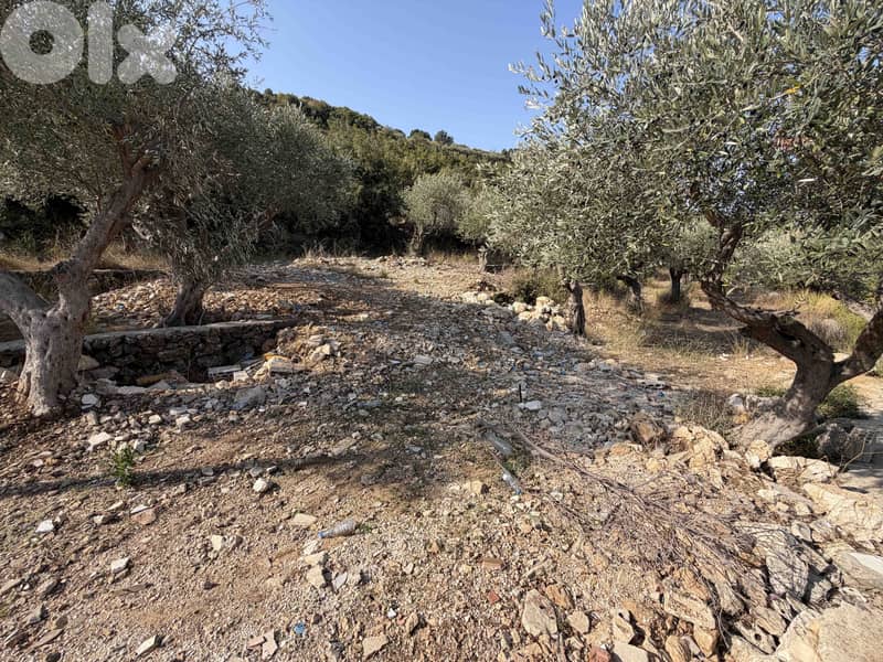 Land | Chikhane | Mountain & Sea view | ارض للبيع | PLS 25338 9