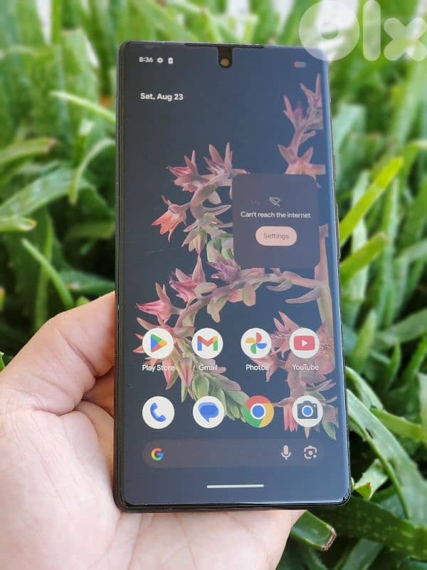 صور -يوجد توصيل دلفري 1