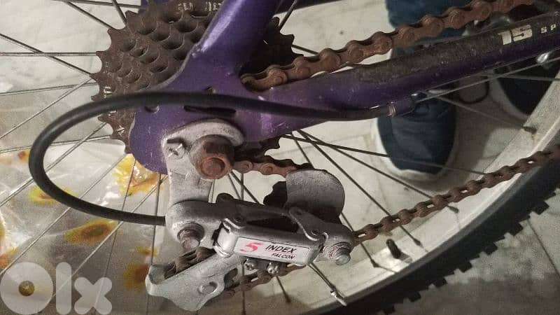 professional bicycles 8