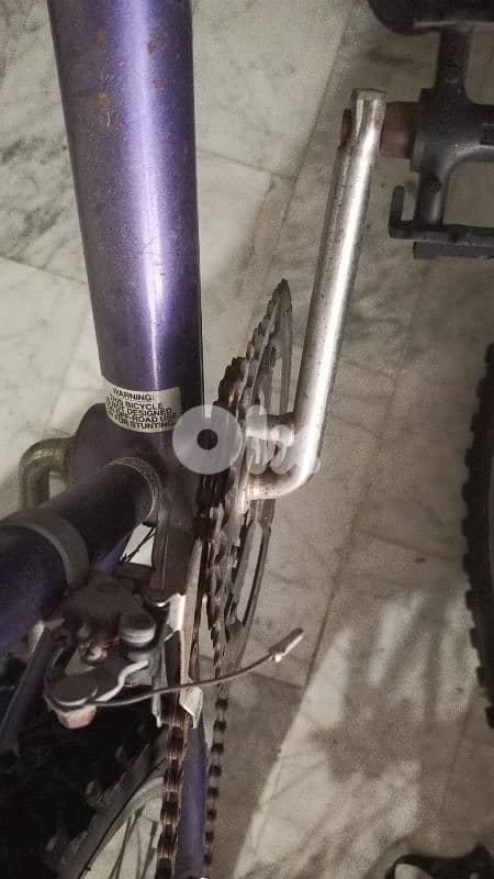 professional bicycles 10