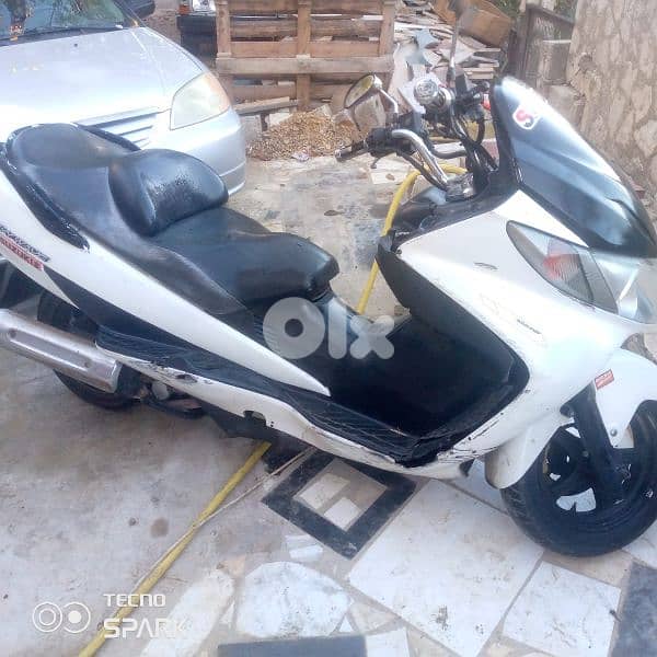 برجا الشوف 0