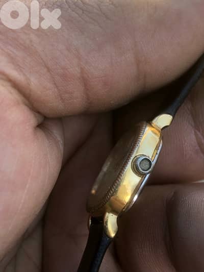 ستيزن تلبيس ذهب