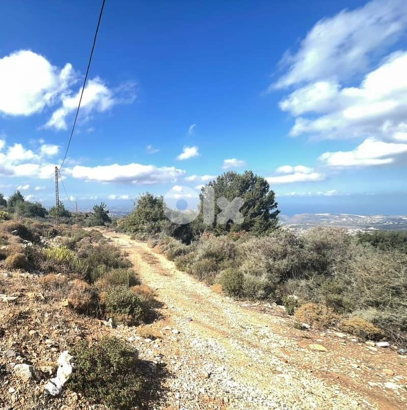 Land For Sale In Deir Bella - Batroun أرض للبيع في دير بيلا، البترون 3