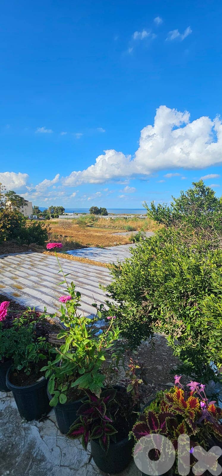 RWB489EA - Land for sale in Tabarja 1