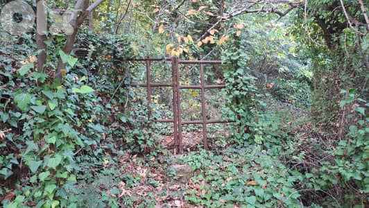 Land for sale in Torza Becharri -أرض للبيع في تورزا – بشري