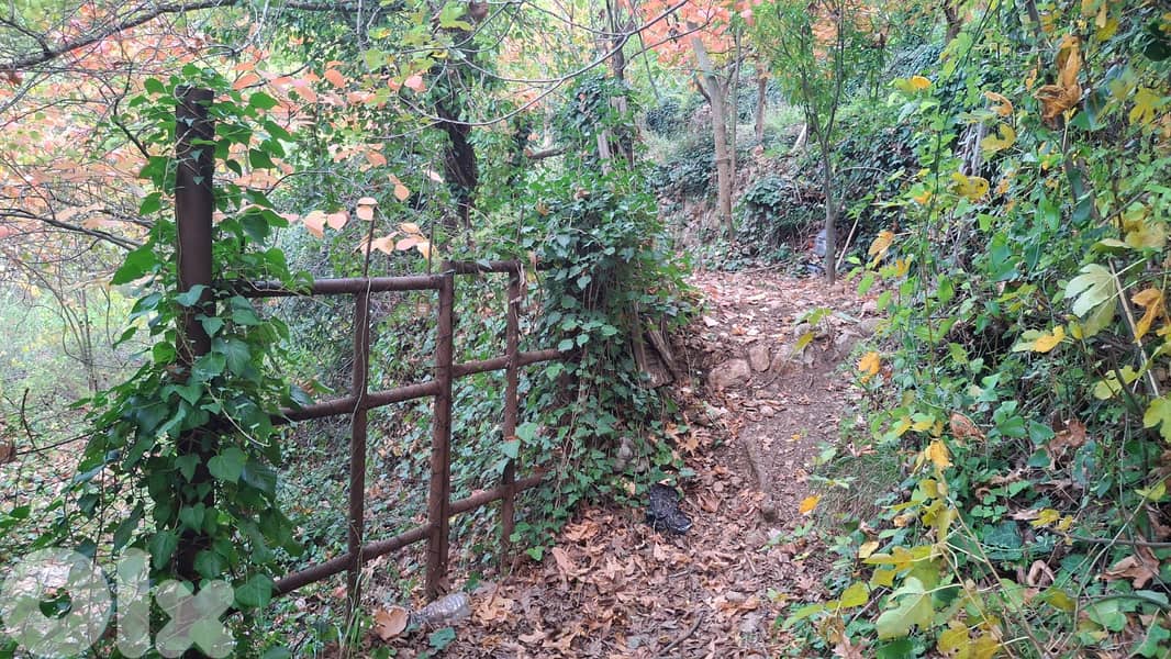 Land for sale in Torza Becharri -أرض للبيع في تورزا – بشري 2