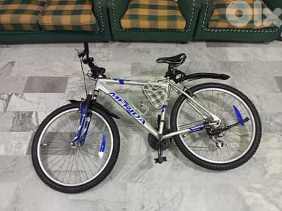 الصفرا حي لاعية