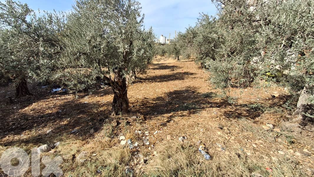 Land for sale in Kousba - أرض للبيع في كوسبا 0