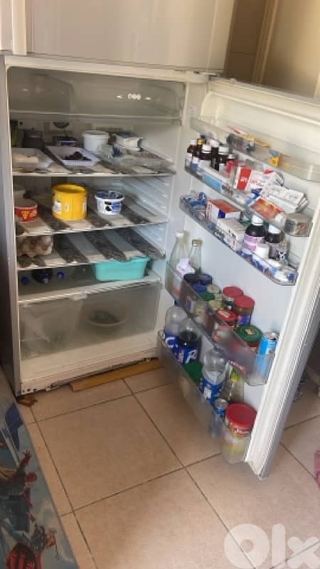 صيدا الحاره 5