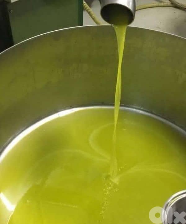 Olive oil premium pure 100% . . . %زيت زيتون أصلي ١٠٠ 2