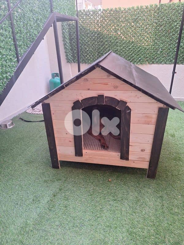 Dog house all sizes 0
