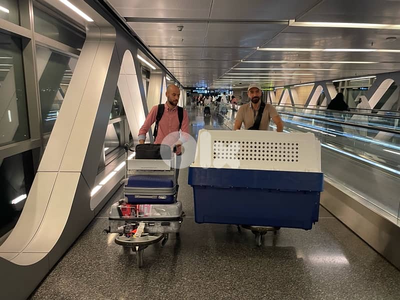 Biggest IATA approved crate ever 0