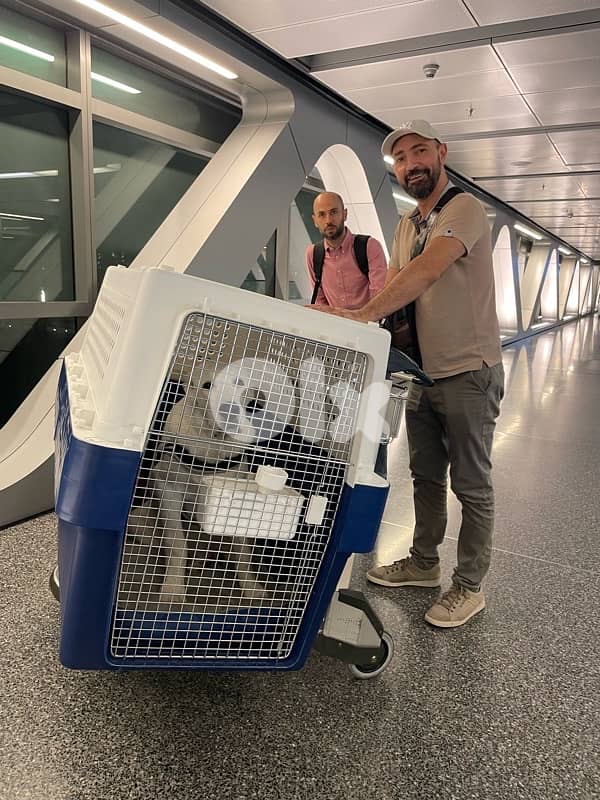 Biggest IATA approved crate ever 1