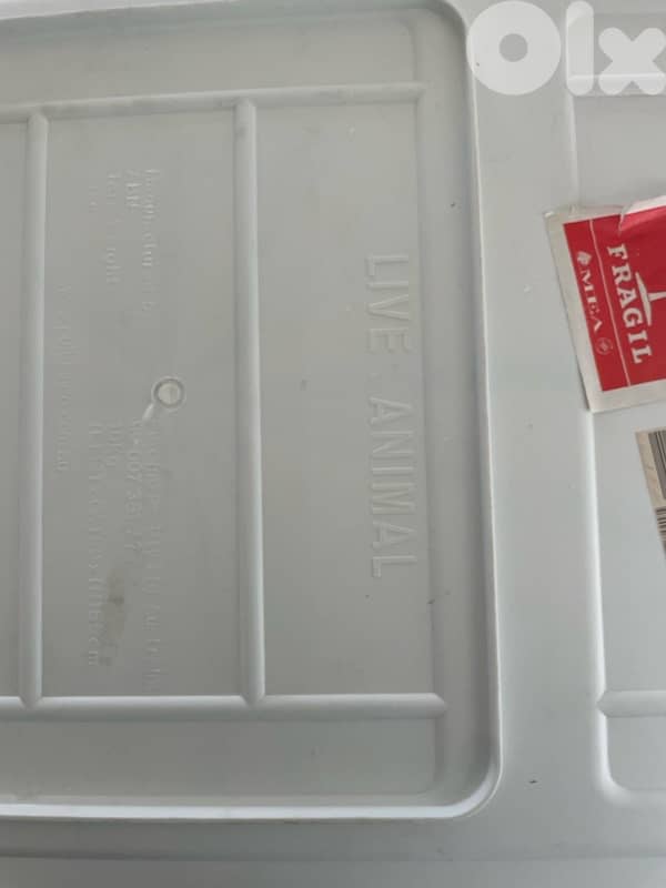 Biggest IATA approved crate ever 4