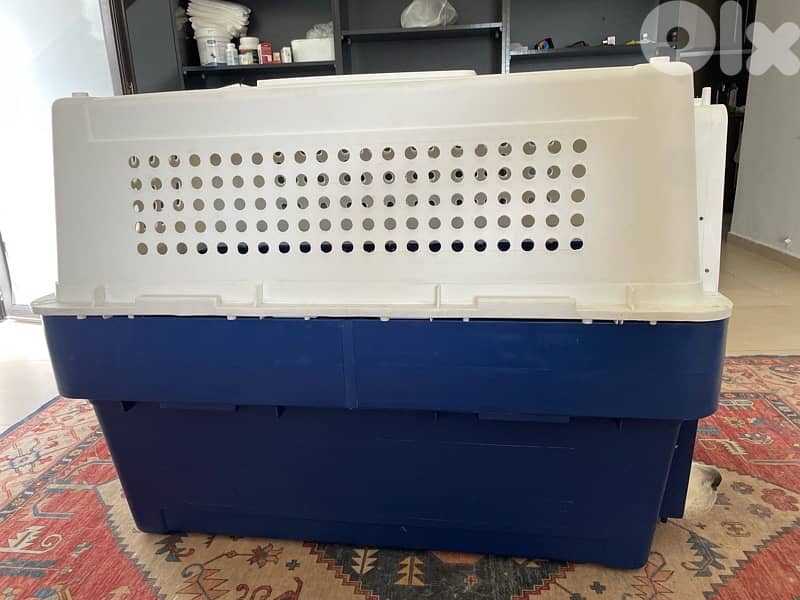 Biggest IATA approved crate ever 8