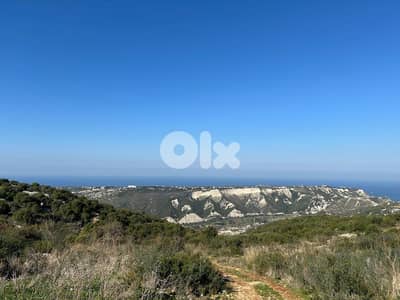 Land for sale in Ebrine-Batroun - أرض للبيع في عبرين - البترون