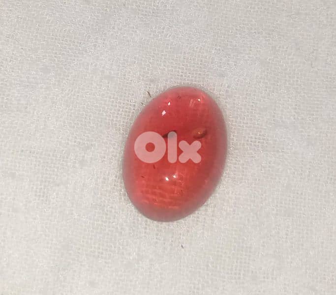 حص من الكهرمان الكنلغرادي البلطيقي 1