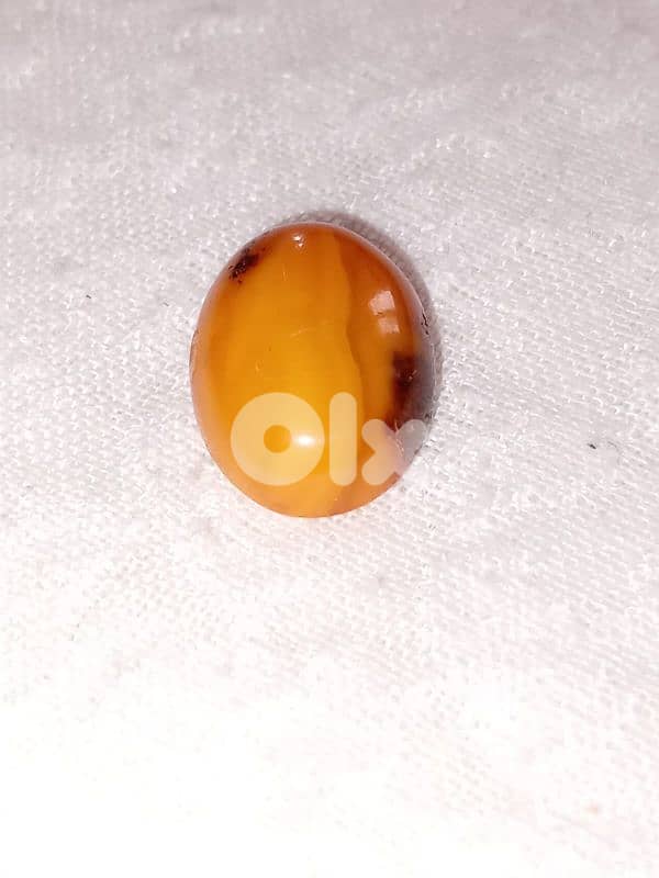 كهرمان مشجر بلطيقي بولوني حر 0