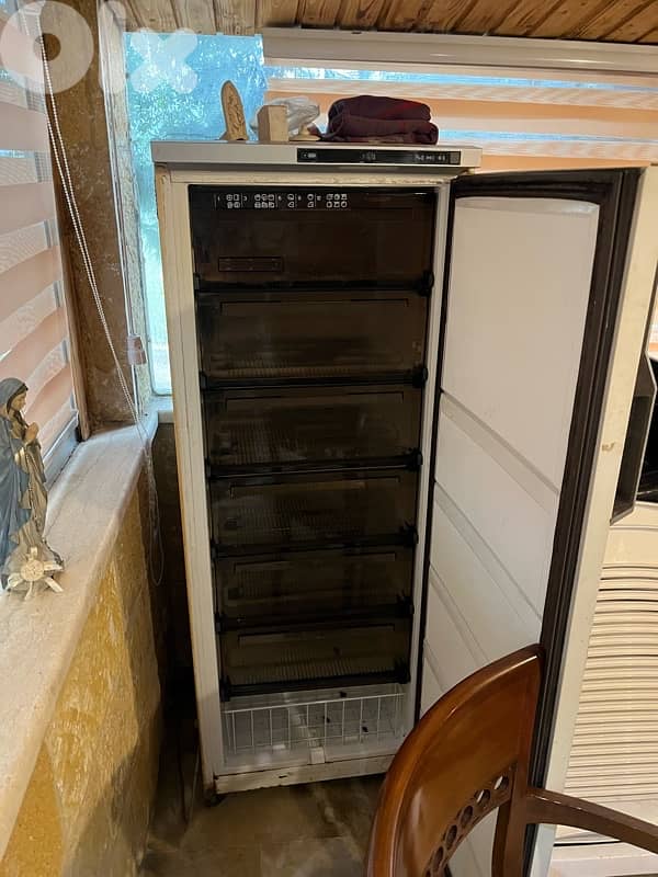 berrad ghissele freezer 1