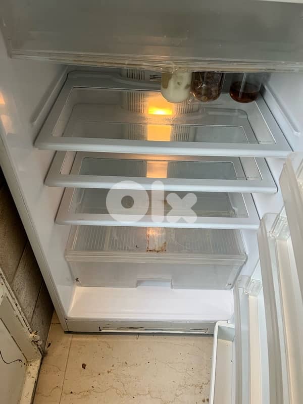 berrad ghissele freezer 3